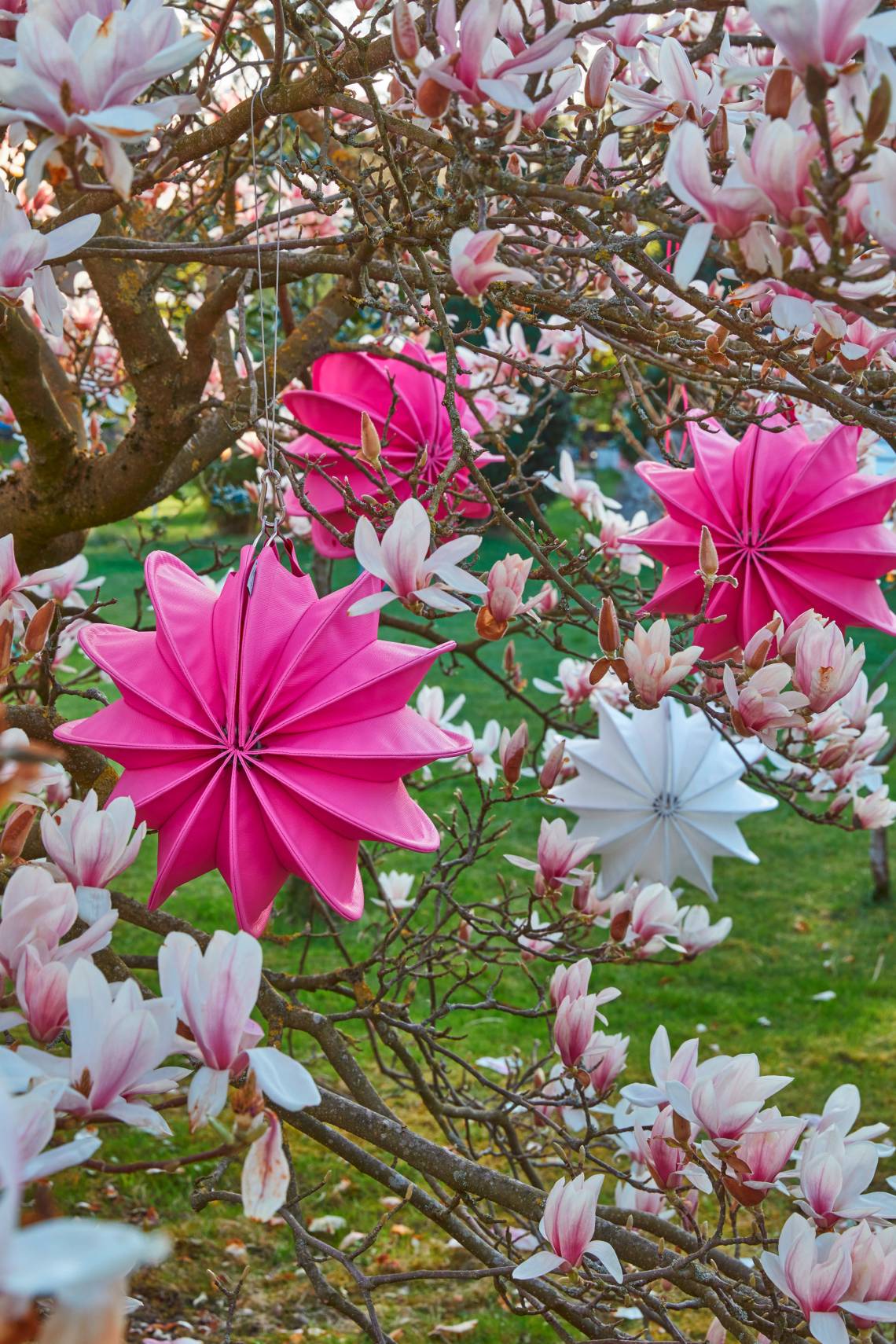 Barlooon - Laternen Pink & Weiß - Blühender Baum