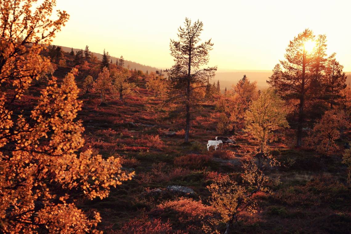 VisitFinland Herbststimmung