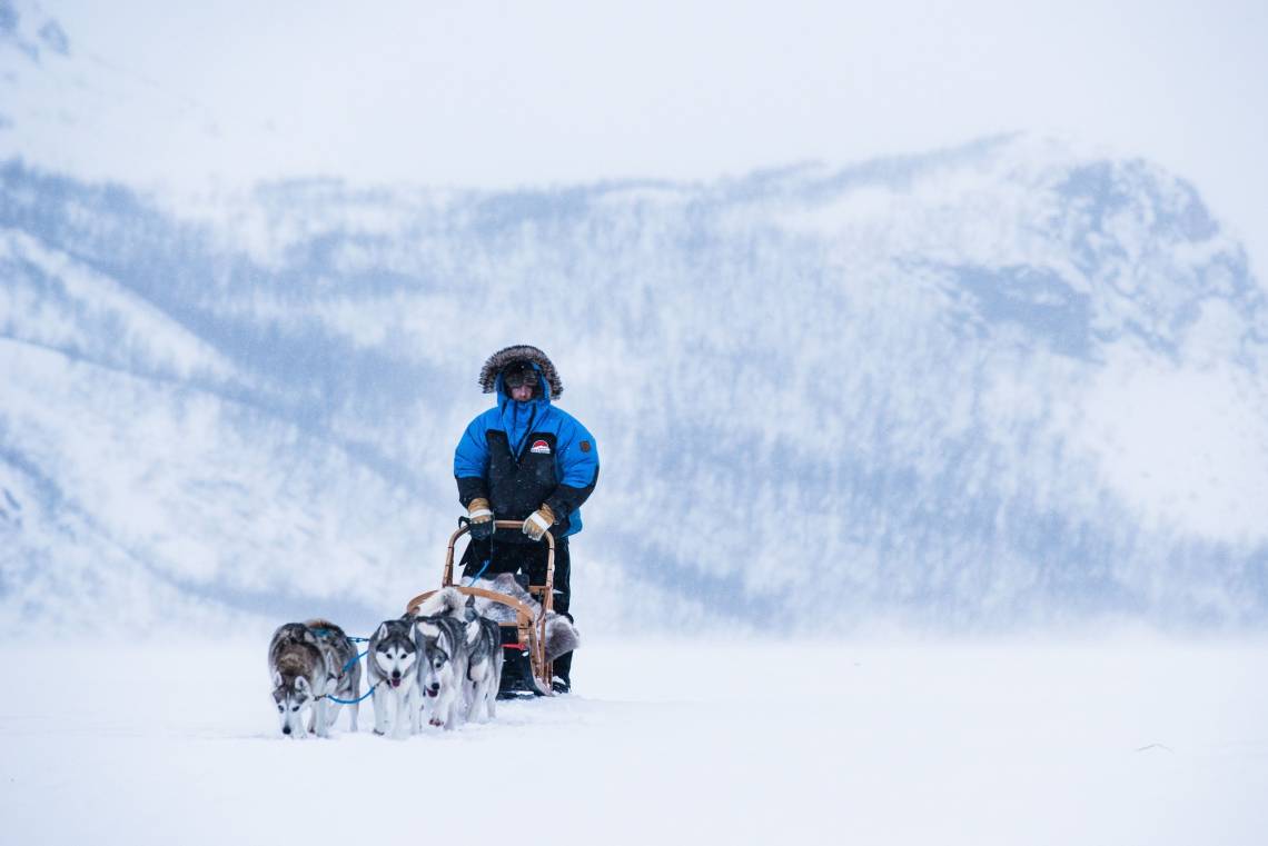 VisitFinland Schneeschlitten mit Hunden