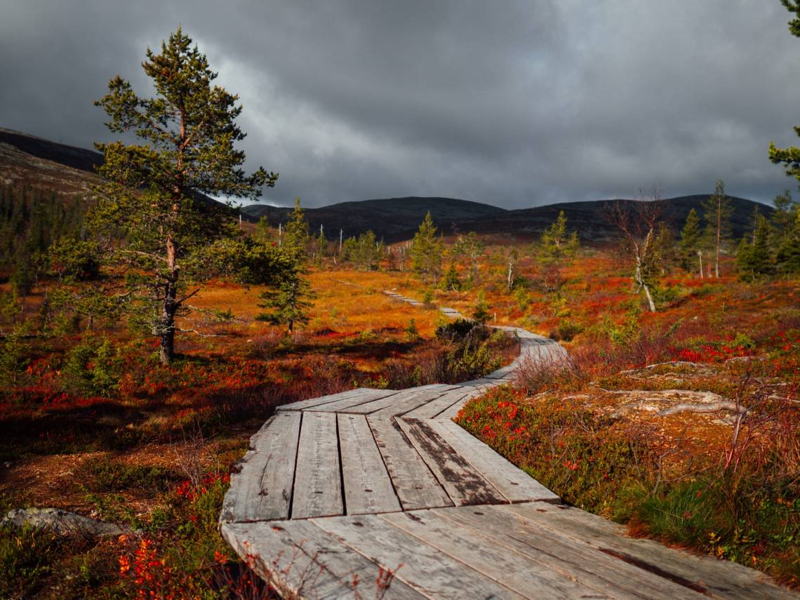 VisitFinland Herbststimmung in Lapland