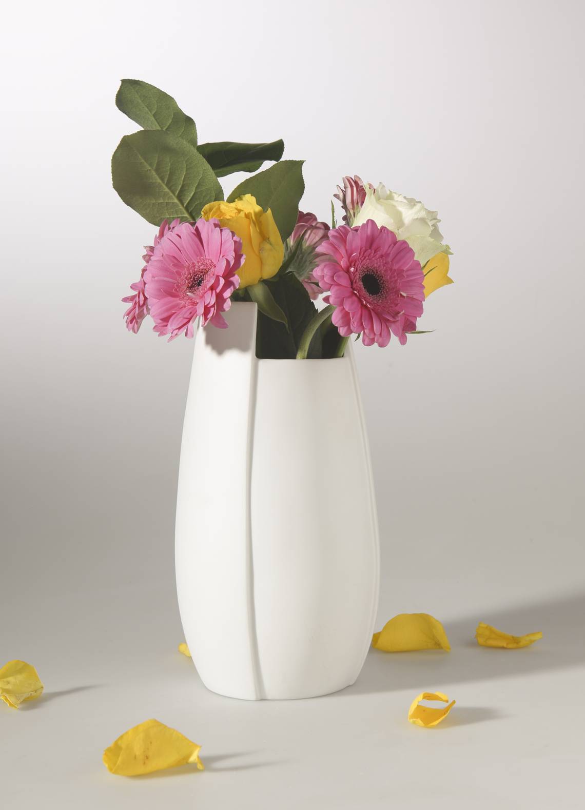 Kaiser Porzellan - Zartes Gefäß für schöne Blumen: Vase Ova