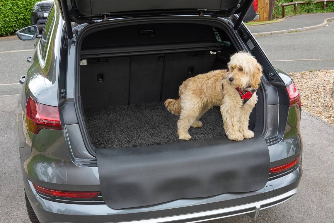 Kleen-Tex - Kleen-Car - Car Protector Set Premium - Hund im Kofferraum