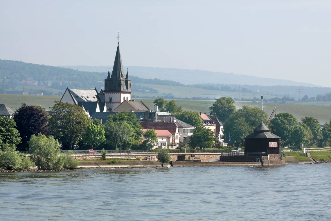 Blick auf die Landschaft von Oestrich-Winkel