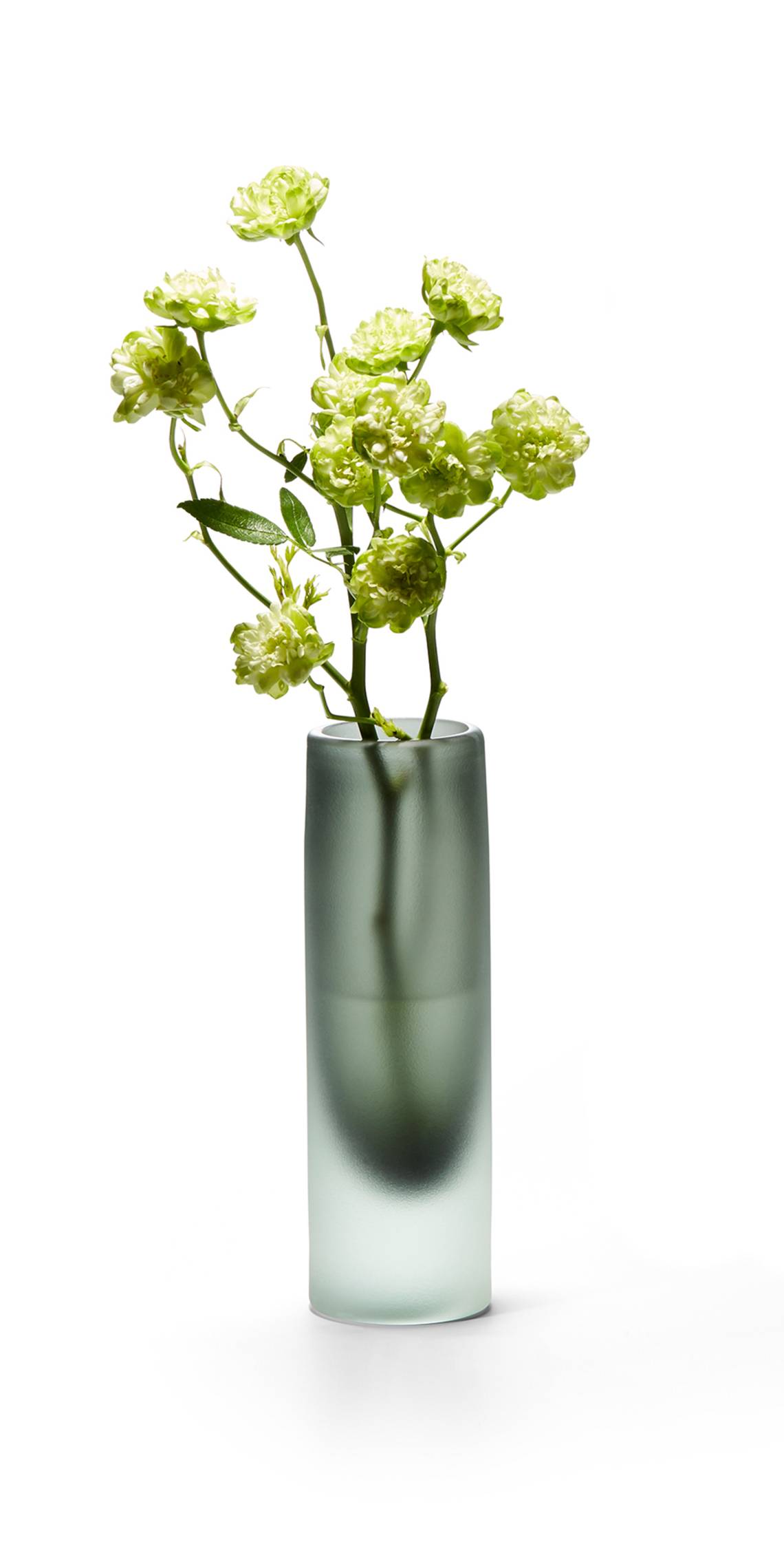 PHILIPPI - Vase Nobis, 20cm - Blumen