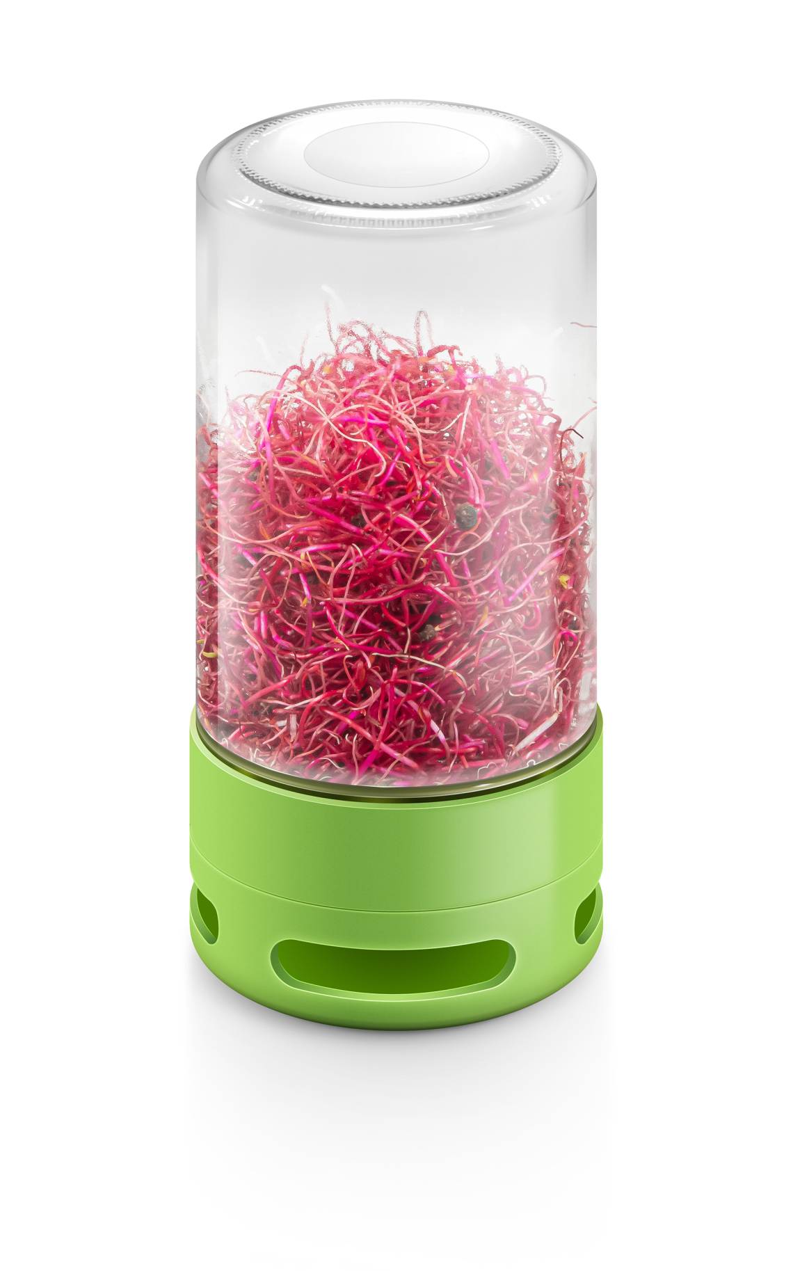 Tescoma - Keimglas SENSE - Sprossen rot