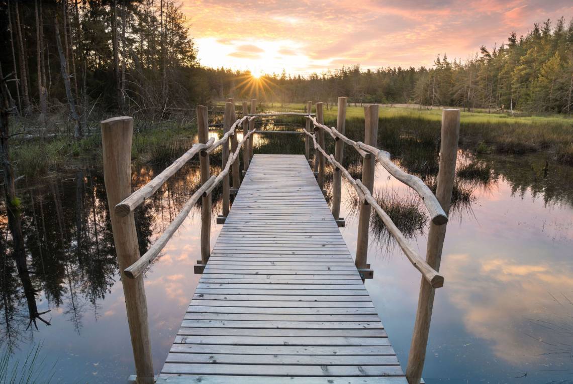 Walderlebnispfad in der Waldnaabaue