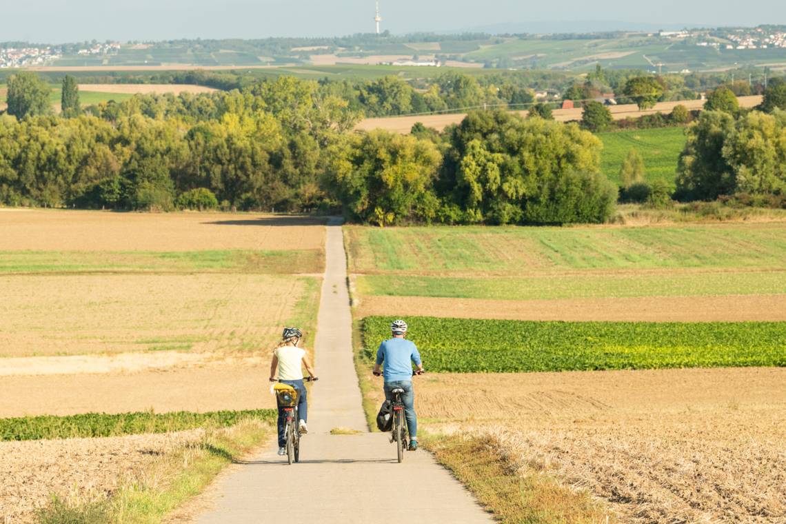 RHT - Perfekt für eine ausgiebige Fahrradtour - Weites Land bei Udenheim