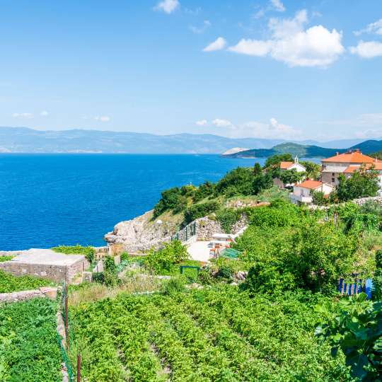 Kvarner Palace - Weinberge und das Meer sind ganz nah