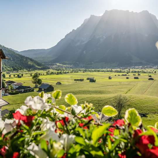 A.R.T. Redaktionsteam - Paradiesische Natur erleben