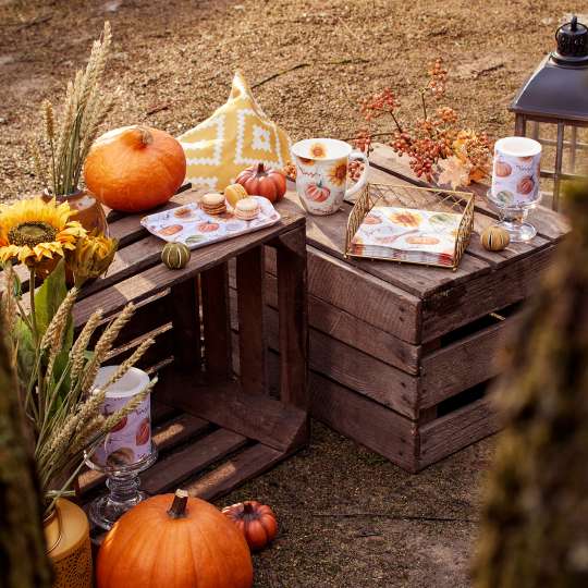 Ambiente - Pumpkins&Sunflowers - Herbstdekoration - Kürbisse