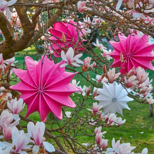 Barlooon - Laternen Pink & Weiß - Blühender Baum