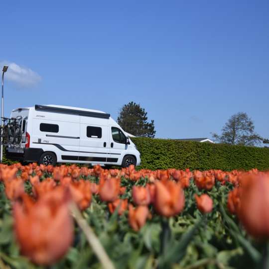 Camperglück - Best-of-Europa - Am Tulpenfeld vorbei