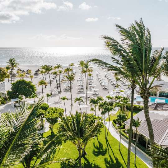 Bucuti & Tara Beach Resort - Grüner Ausblick über den Eagle Beach