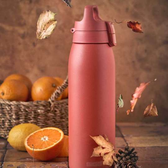 SIGG Therm ONE Eco Red