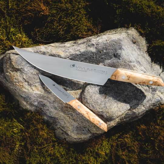 F.DICK - Die Kraft der Natur gebündelt in Vivum BBQ Messer ASADOR & Office Messer