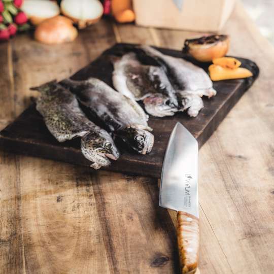 F.DICK - Ideal zum Zerteilen von Fisch: Vivum Kochmesser