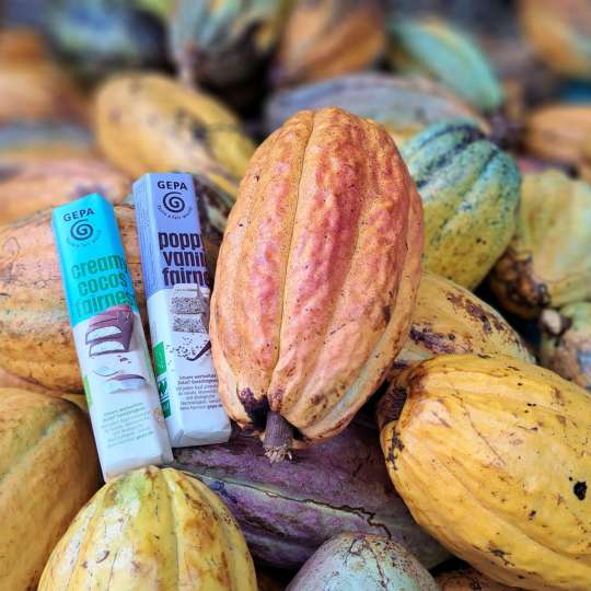 GEPA Zusammenarbeit mit COOPROAGRO: Fairtrade-Riegel aus Kakaobohnen aus der Dominikanischen Republik