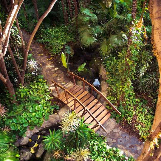 Hotel Botanico  - Botanischer Garten - Brücke