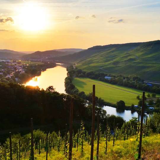 LIFESTYLE Resort ZUM KURFÜRSTEN - Weinberge Bernkastel-Kues