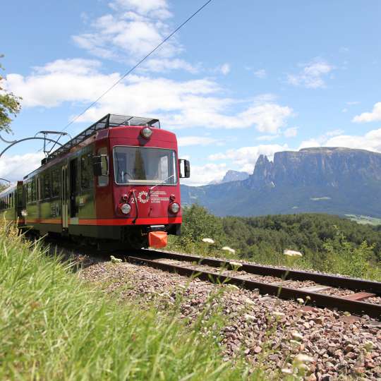 APIPURA Hotel Rinner - Trogenerbahn 