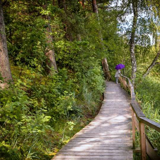 Unberührte Natur im Kemeri Nationalpark genießen