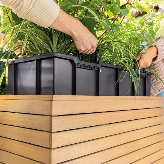 LECHUZA PALO Natural Wood Pflanzgefäß