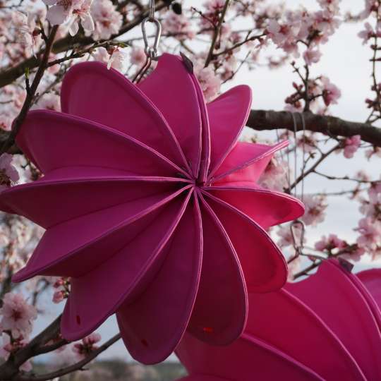 Barlooon – wetterfester Outdoor-Lampion PINK im blühenden Baum