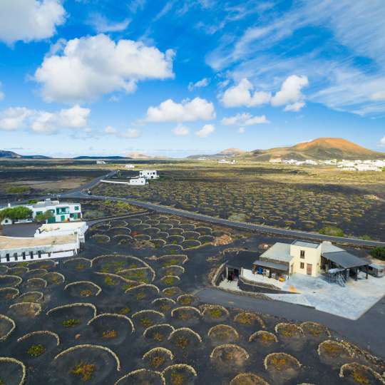 Bodegas auf Lanzarote