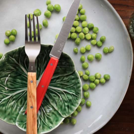 Opinel - Kreativ und stilvoll: Gabel Sylve Olive mit Messer Facette rot
