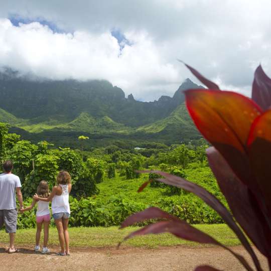 Tahiti Landschaft