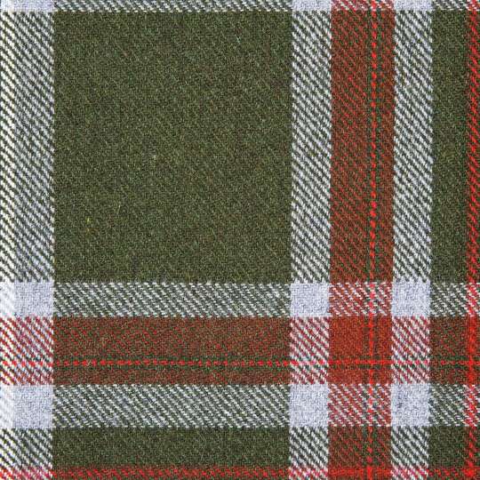 PPD - Traditional Checks - Check green Napkin