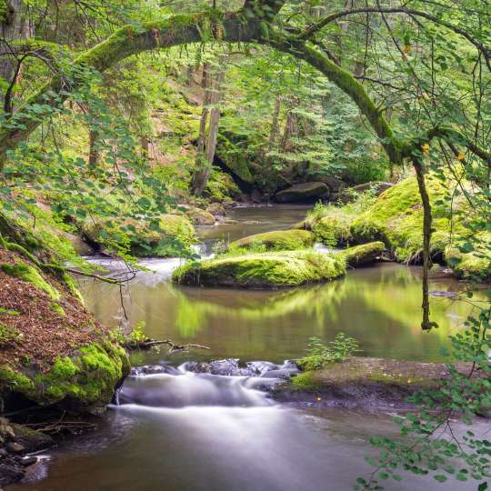 Das wildromantische Waldnaabtal