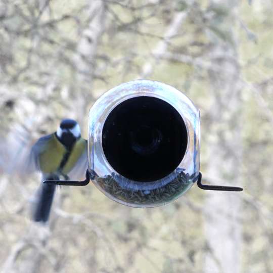 Born in Sweden - Vögel am Fenster füttern - Vogelfutterhäuschen