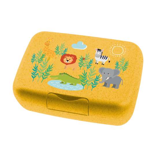 koziol - CANDY L Lunchbox - Design AFRICA