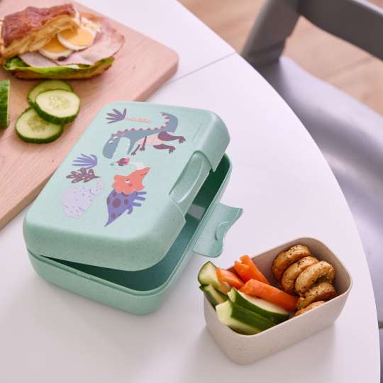 koziol Lunchbox CANDY L REX