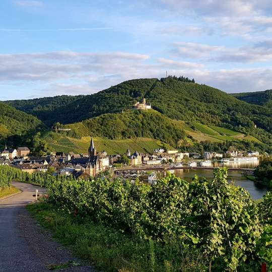 Wein- und Ferienregion Bernkastel-Kues