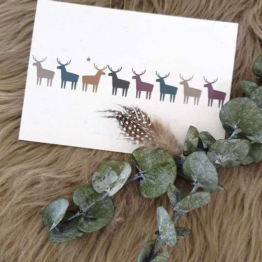 PPD - Pure Deers Postkarte