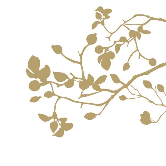 PPD Serviette Pure Branch gold 133002458