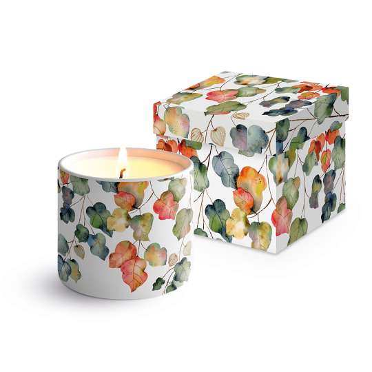 ppd - Bright Fall Fine Bone China Kerze mit Geschenkbox