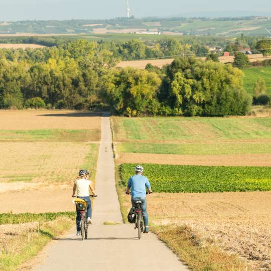 RHT - Perfekt für eine ausgiebige Fahrradtour - Weites Land bei Udenheim