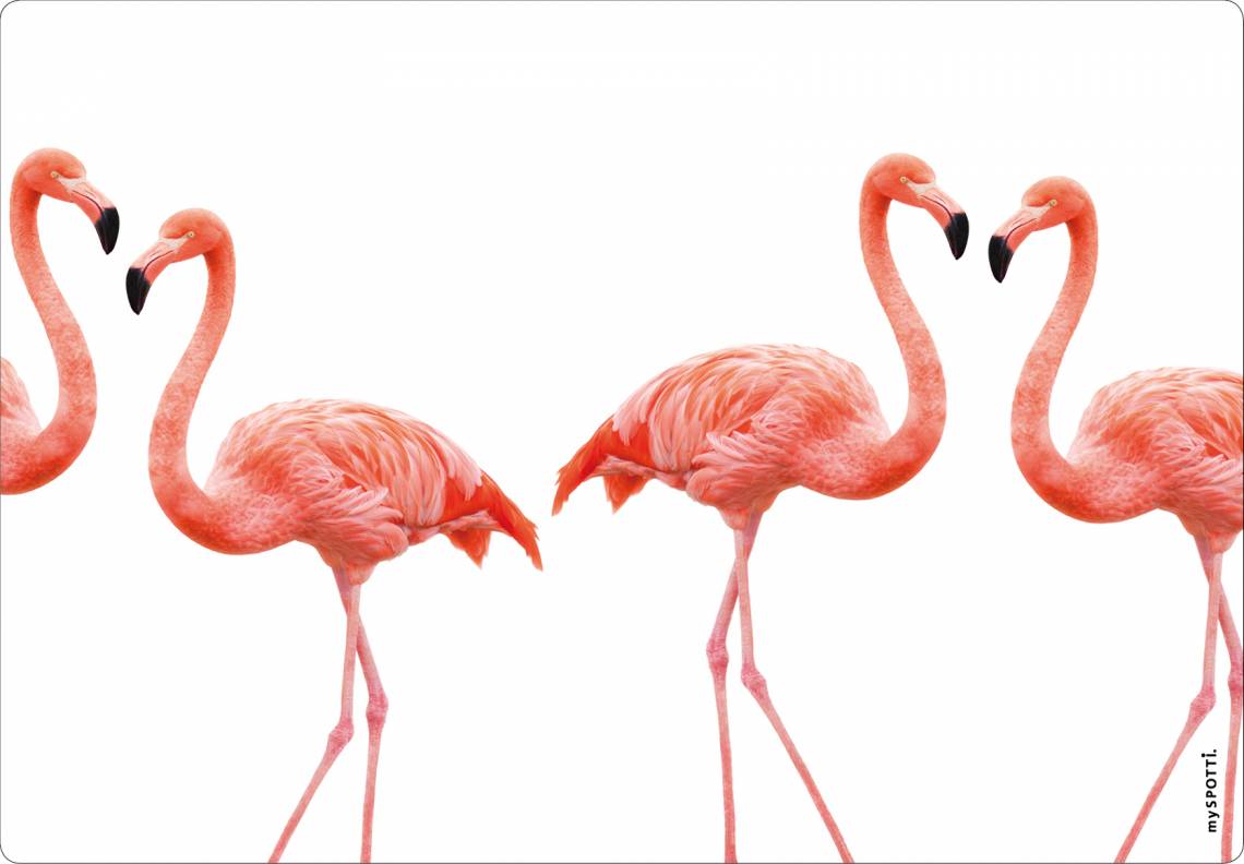 mySPOTTO pop-Motiv Lovely Flamingo