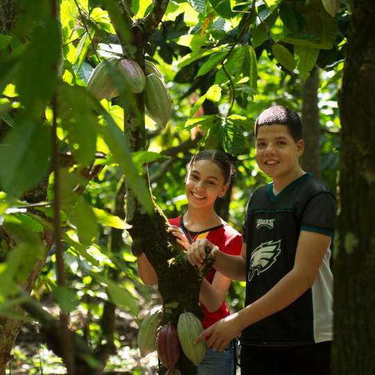 04 Adriana und Raul im Kakaobaum (c) GEPA – The Fair Trade Company / C. Nusch