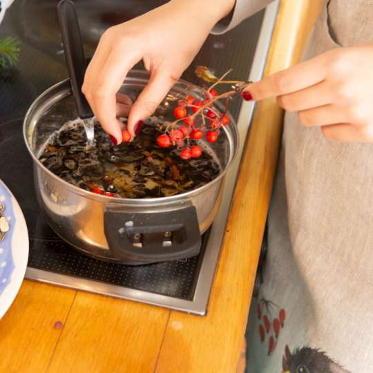 Schulz HOMEWEAR - Natuerlich vogellieb mit Helina Tilk - Vogelfutter selbermachen - 1