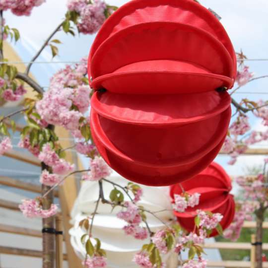 Zeit für Frühling bei barlooon - Outdoor-Lampion weiss und rot, M, Mood 1