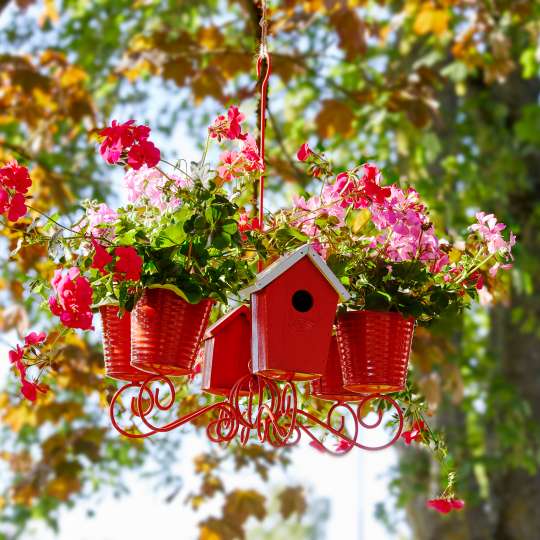 Blühende Kronleuchter-Herberge für Vögel und Schmetterlinge (c) Pelargonium for Europe