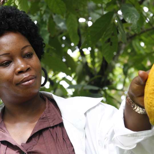 Das Forum Nachhaltiger Kakao feierte am 13. Juni 2022 sein zehnjähriges Bestehen
