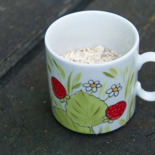 Helina Tilk by ALLA-S - Rezept Helbepuder - Tasse mit Haferflocken