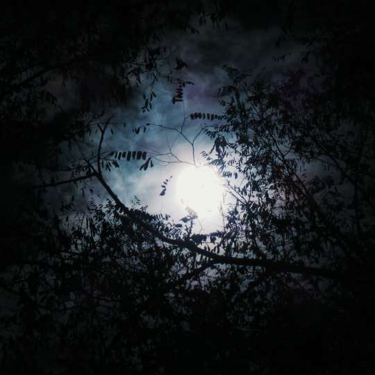 Moon - Foto: John Silliman
