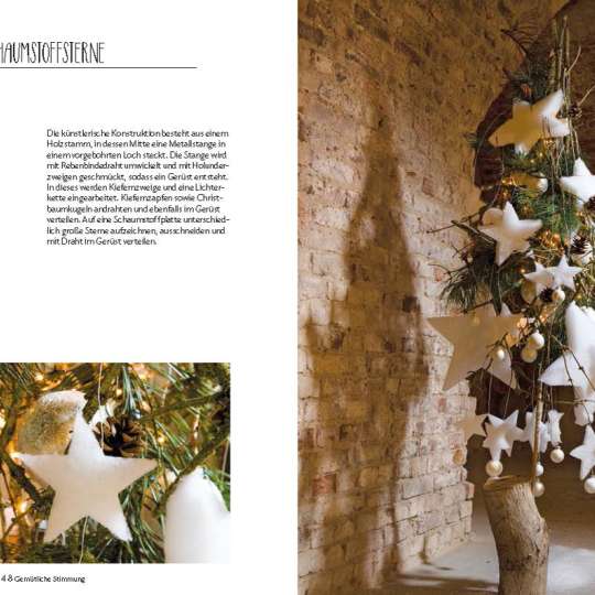 Winterliche Sternstunden - Bick ins Buch 2 (c) BLOOMs Deco