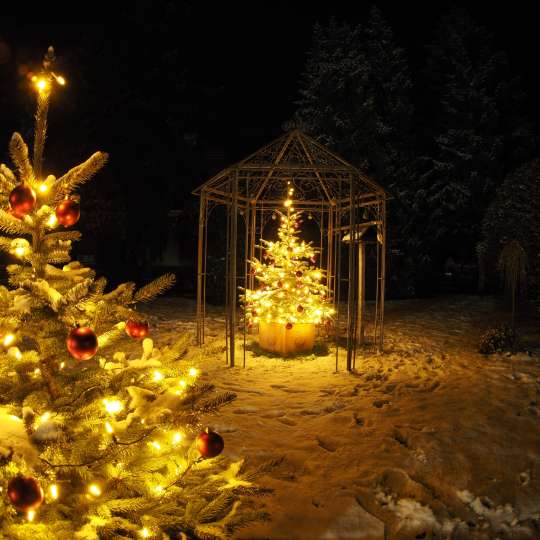 Zweitbaum - ein zusätzlichen Weihnachtsbaum